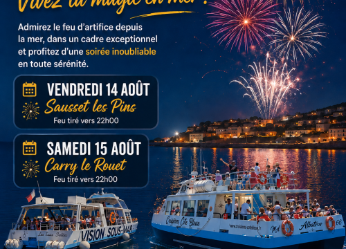 FEU D'ARTIFICE SAUSSET LES PINS